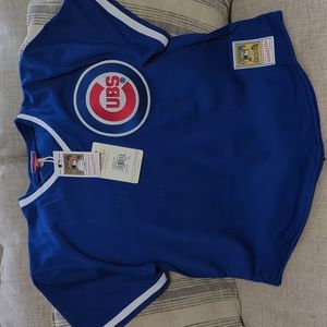 Cubs Ryne Sandberg Mitchell and Ness Jersey